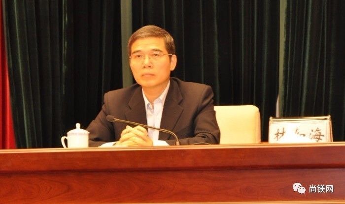 林如海接任中国有色金属工业协会镁业分会会长