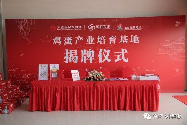 徐鸿飞小鲜蛋鸡蛋产业培育基地揭牌,品牌发展步入新阶段