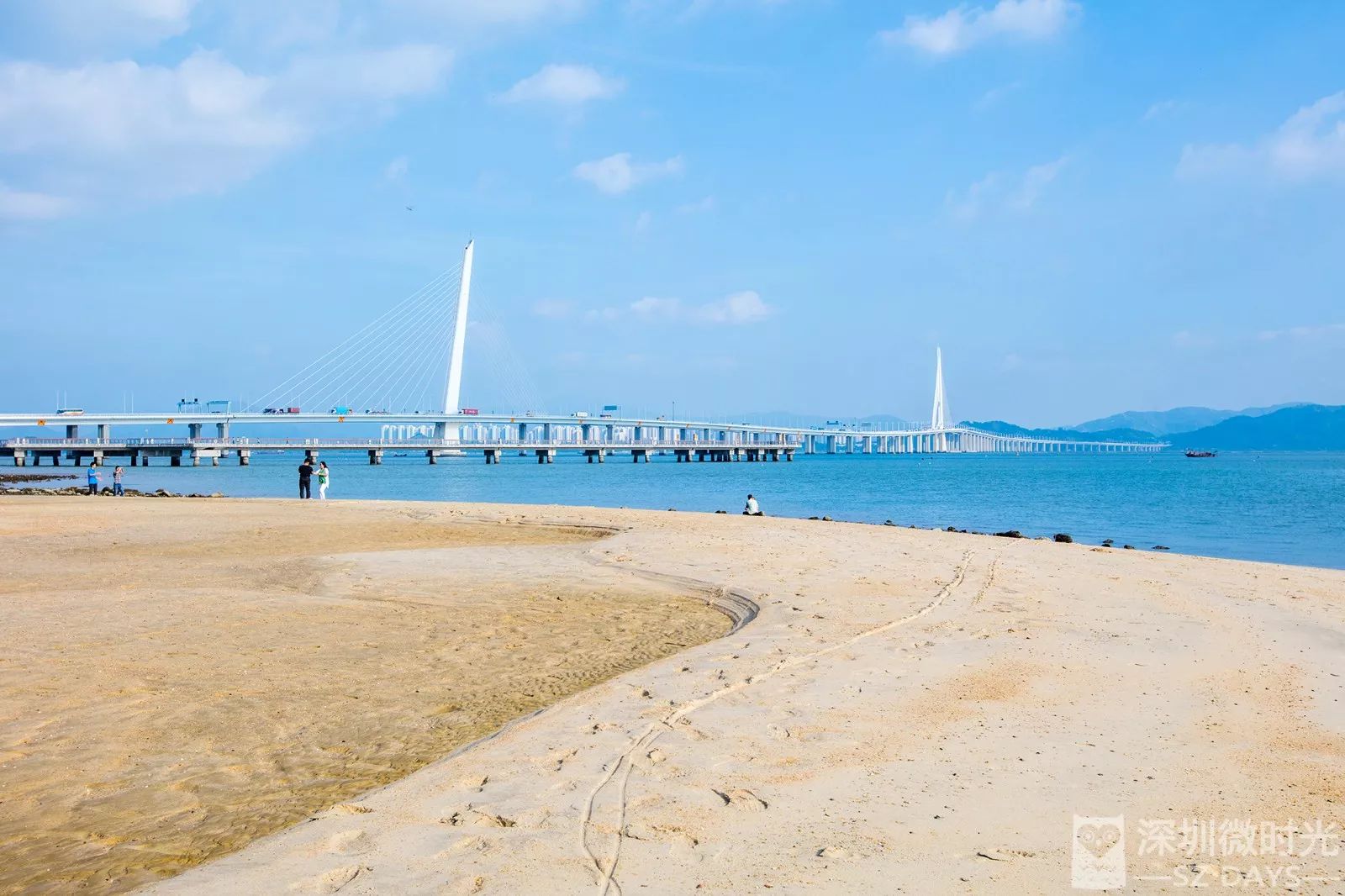 深圳湾也有沙滩了免费开放很少人知道