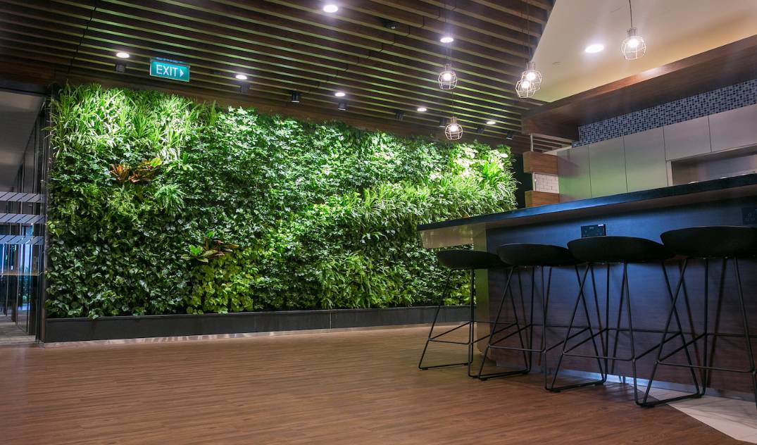绿色生态办公空间图片