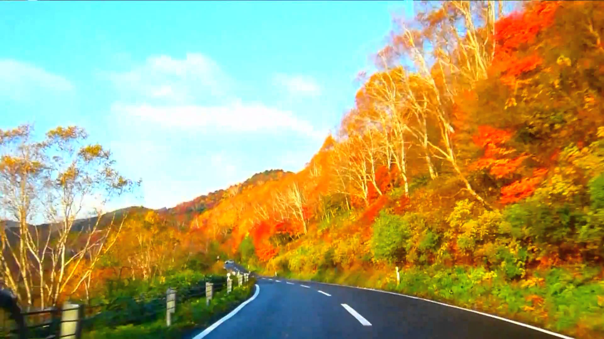 乐天旅游 福岛县与长野县坐享游客最受欢迎的红叶欣赏目的地第一第二名