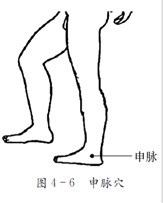 風池穴連線的中點,共2穴(圖4-5)印堂:在額部,兩眉頭中間(圖4-4)四神聰