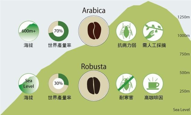 究竟是什么决定了咖啡的味道