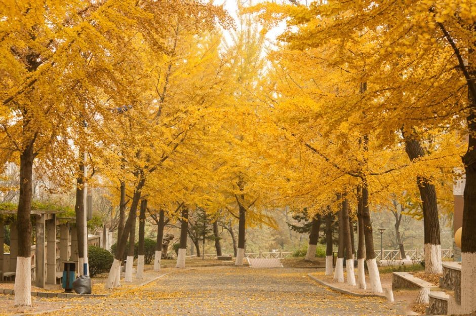 渤海大學地址_渤海大學地址在哪_渤海大學地址松山校區