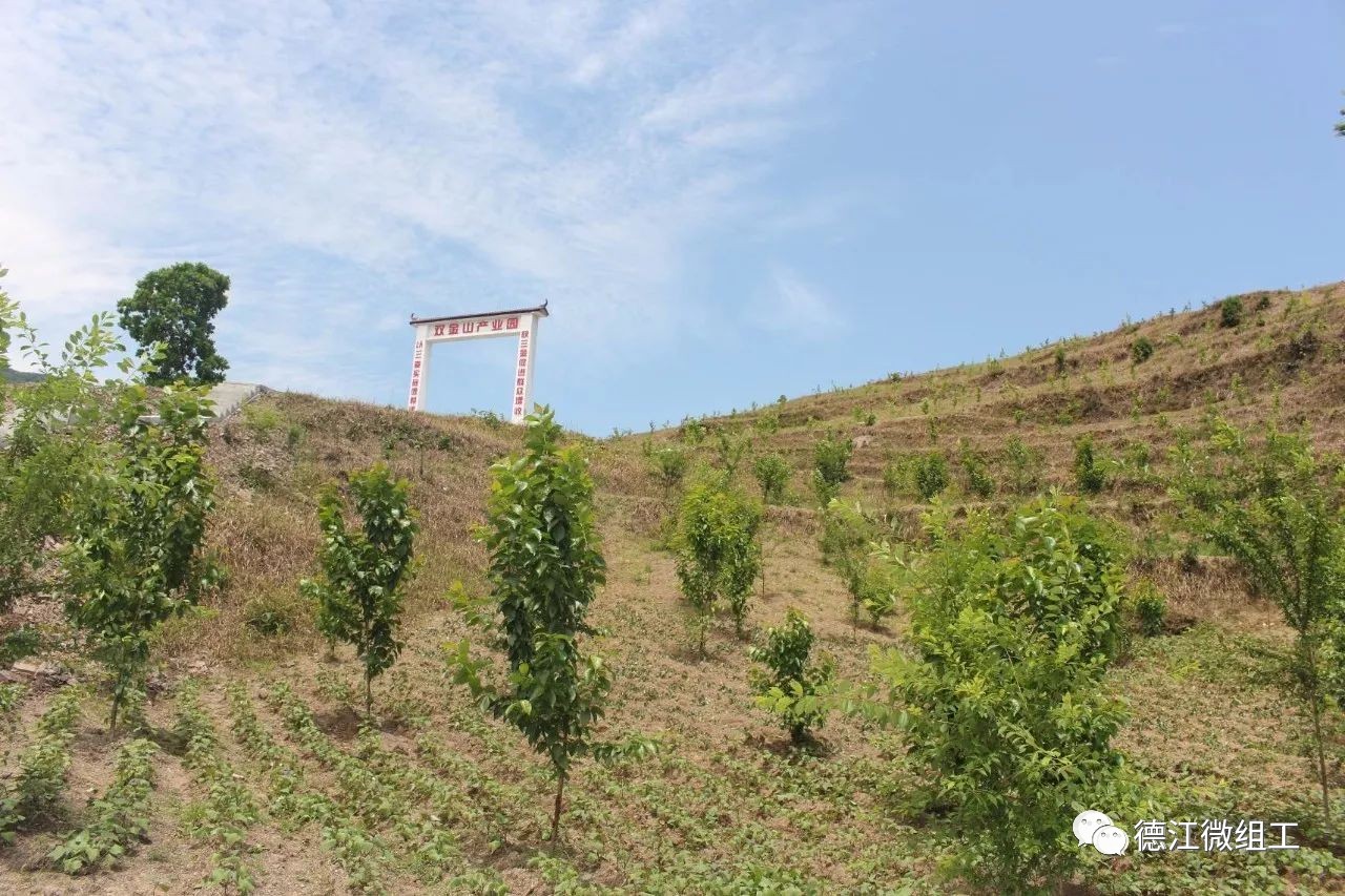 【荆角乡】牵住脱贫"牛鼻子 幸福生活来敲门