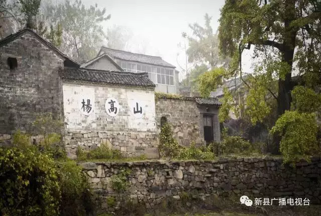 中原银杏第一村新县杨高山生态风景区