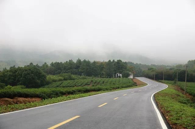 人在景中走如在畫中游我走過最美的路竟是溧陽的鄉村公路