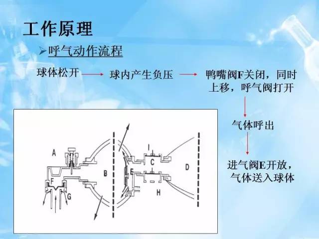 呼吸气囊的结构图图片