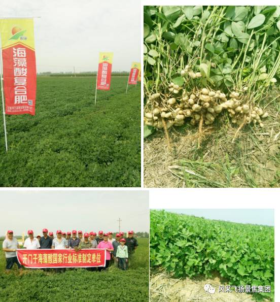 陰雨綿綿,寒了農民的心—開門子海藻酸系列複合肥助您增收