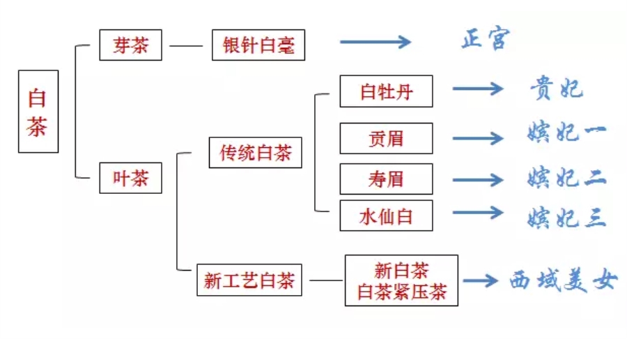 白茶十大品种图片