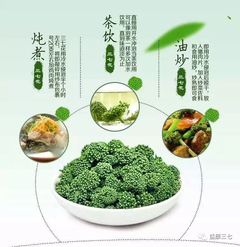 一杯三七花保肝救命就数它