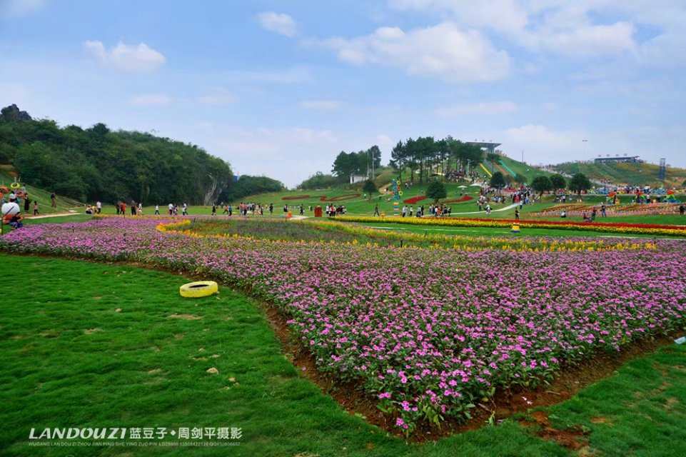 武冈嗨花弄倒闭图片