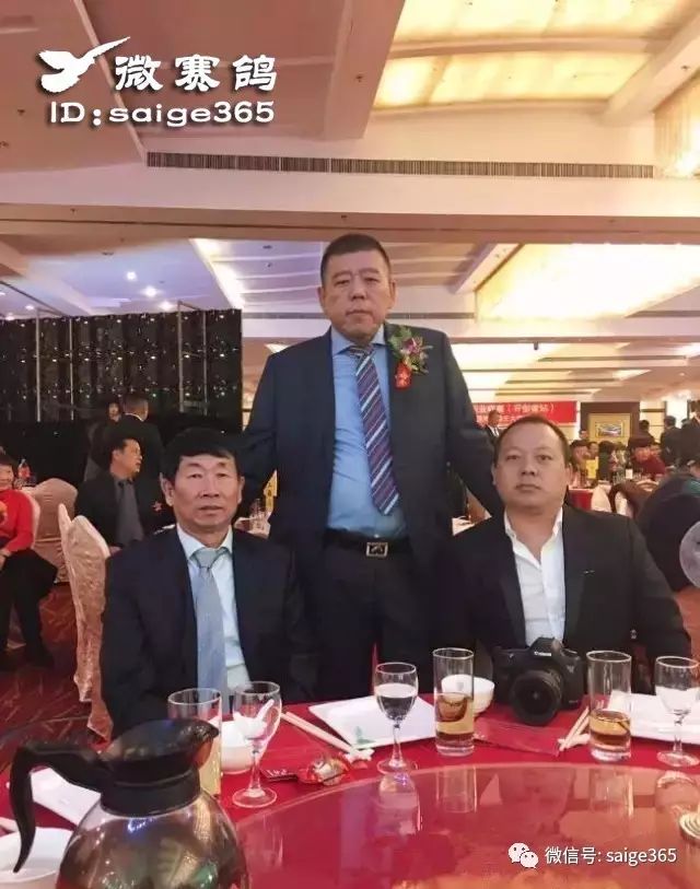 山西洪剑鸽业李贵平图片