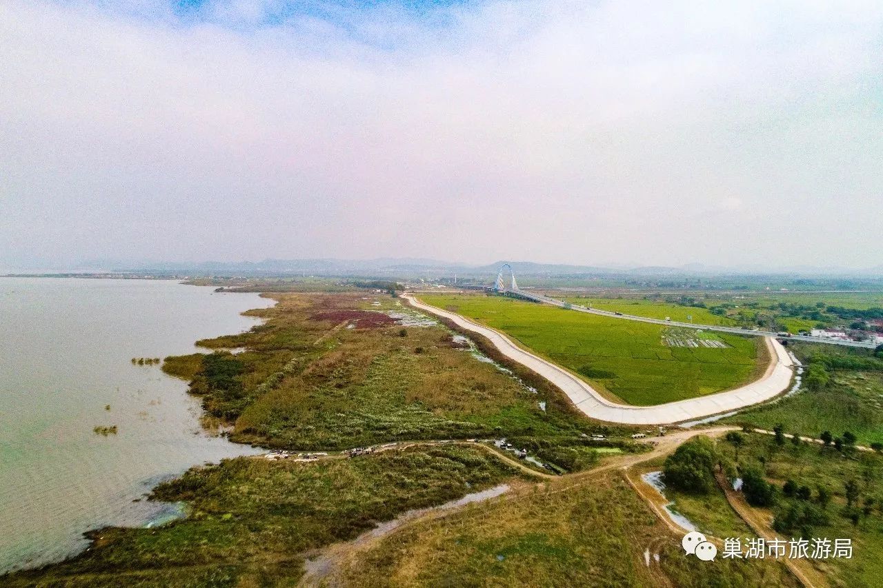 槐林溼地公園環巢湖旅遊的一道亮麗風景線