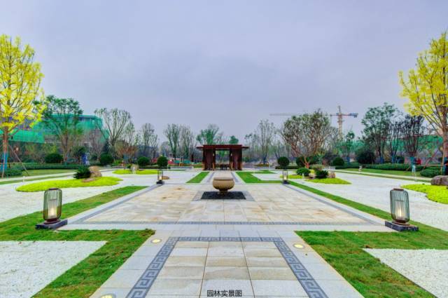 高阳县龙湖公园位置图片
