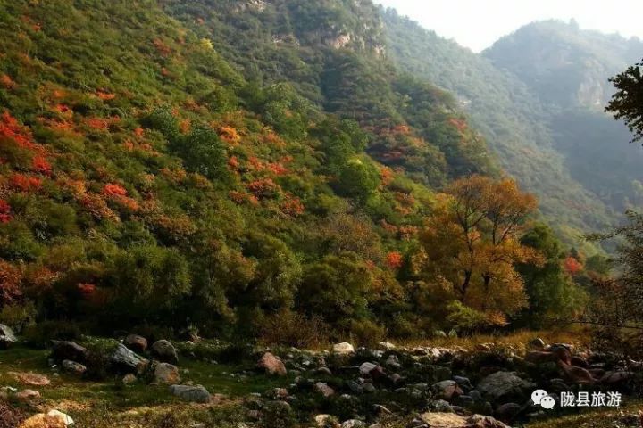 寶雞——連霍高速公路——朝平涼/鳳翔方向——寶漢高速公路——隴縣