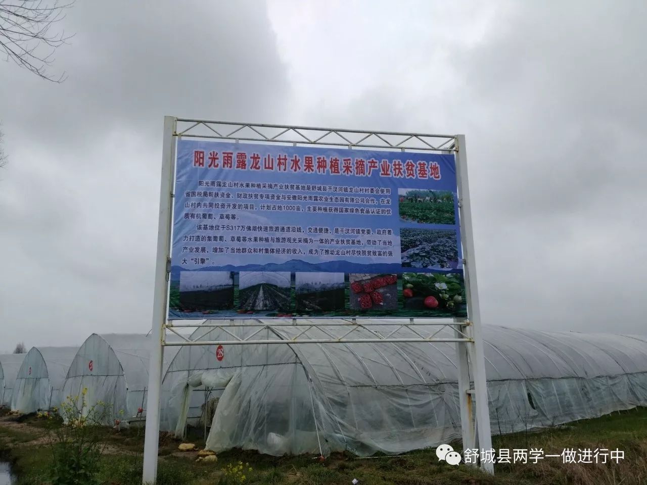 阳光雨露生态园图片