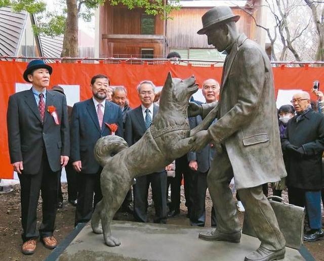 忠犬八公雕塑地址图片