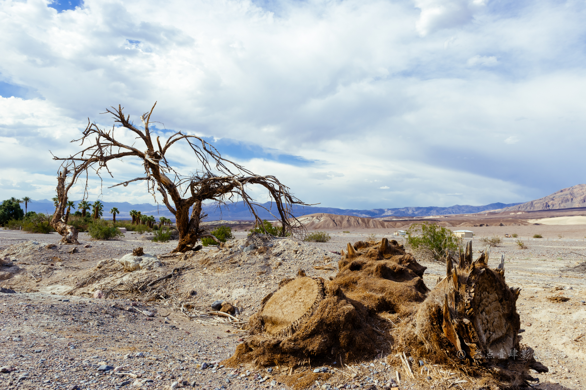 当天温度4833摄氏度,美国死亡谷国家公园游记