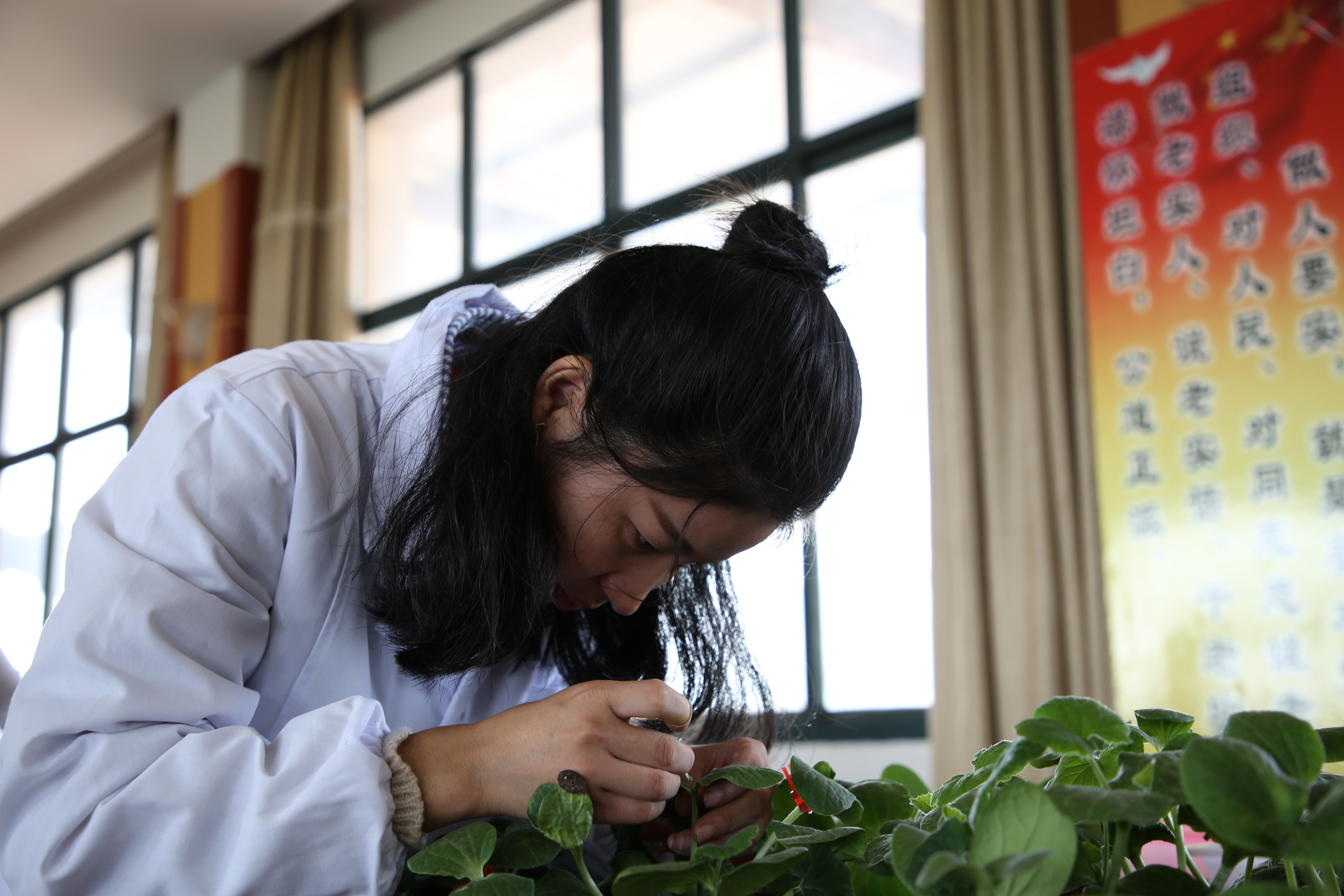 2017年江西省振兴杯蔬菜嫁接职业技能竞赛在学院隆重举行