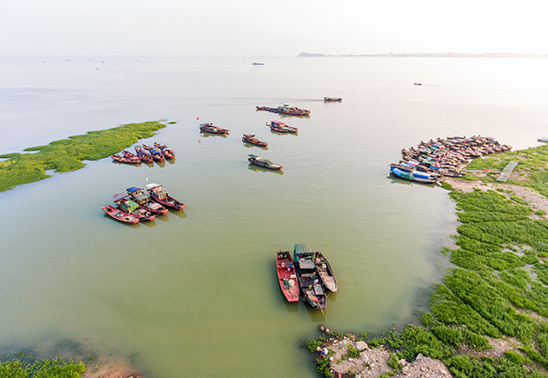 長江防總:洞庭湖,鄱陽湖面積同比增加上千平方公里