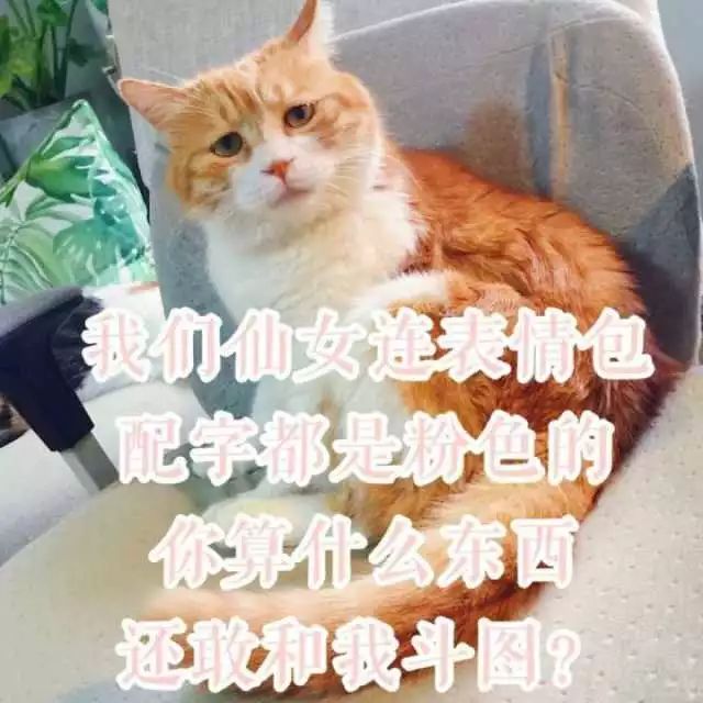 表情包大亂鬥