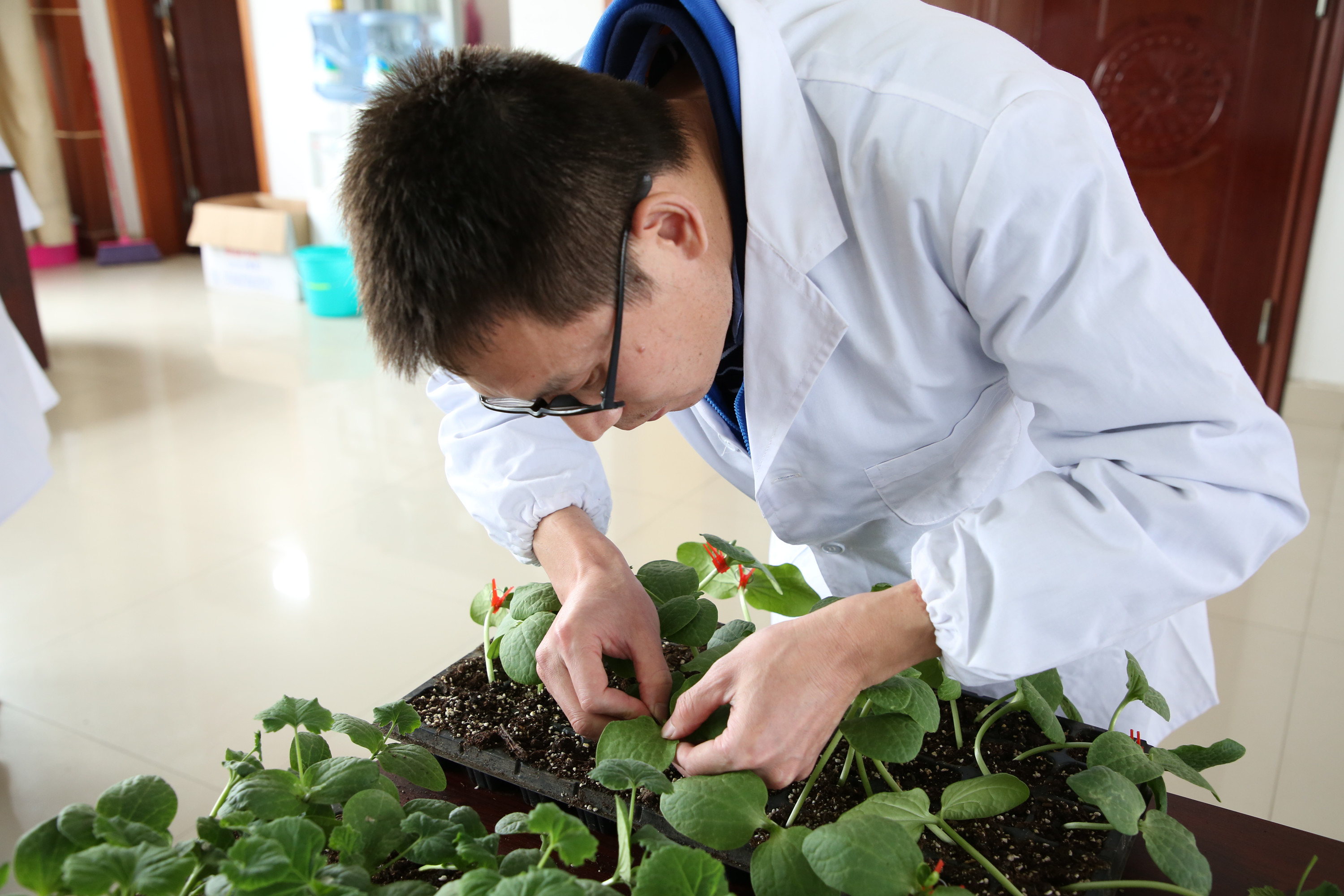 2017年江西省振兴杯蔬菜嫁接职业技能竞赛在学院隆重举行