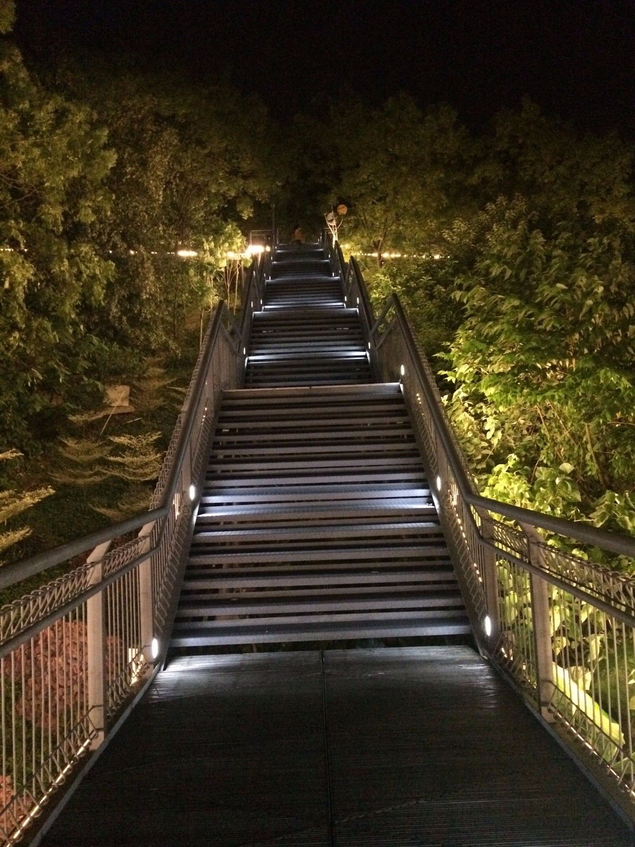 大良华盖山栈道▲勒流潘村夜景.