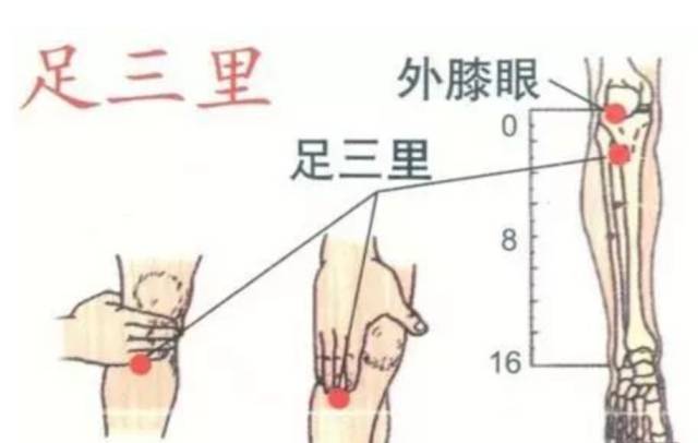 足三里刮痧方向图解图片