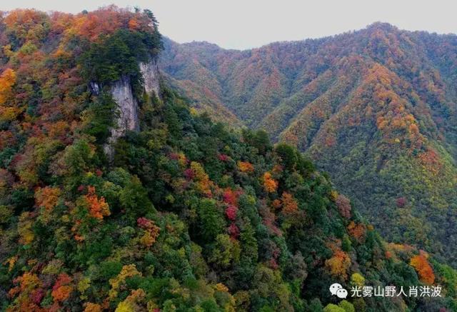 光霧山為什麼這樣紅航拍地拍巴中光霧山的彩林世界震撼壯觀