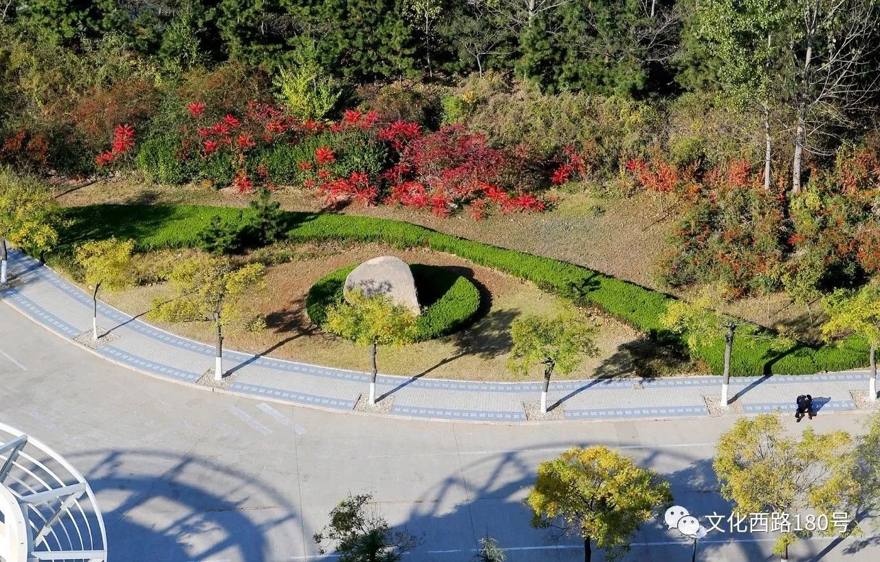 今日霜降秋将尽冬欲来山威满园红黄色