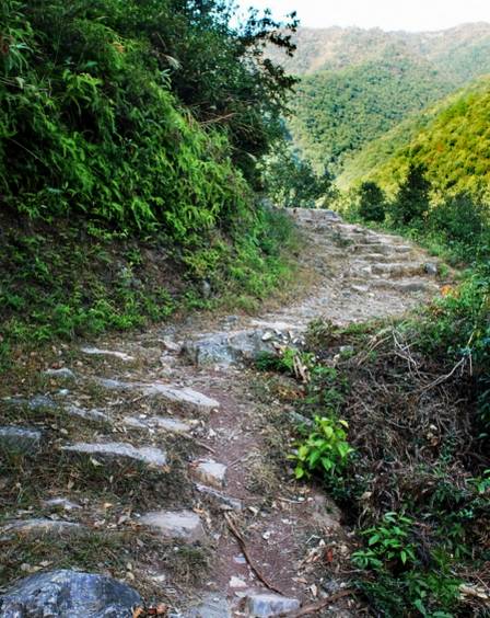 浙赣运河玉山县段图片