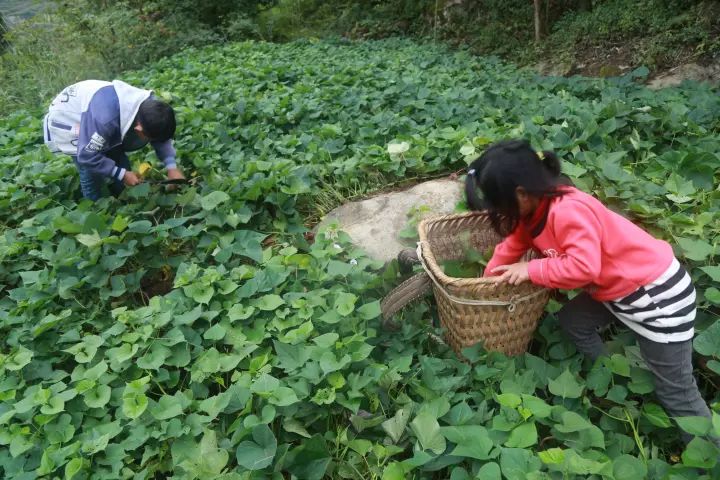 寻人5年前贵州女子在河北把5岁的儿子抛弃在幼儿园出走如今孩子每天