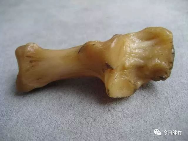 老虎骨骼 爪子图片