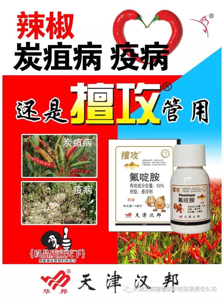 炭疽病來襲你準備好對策了嗎