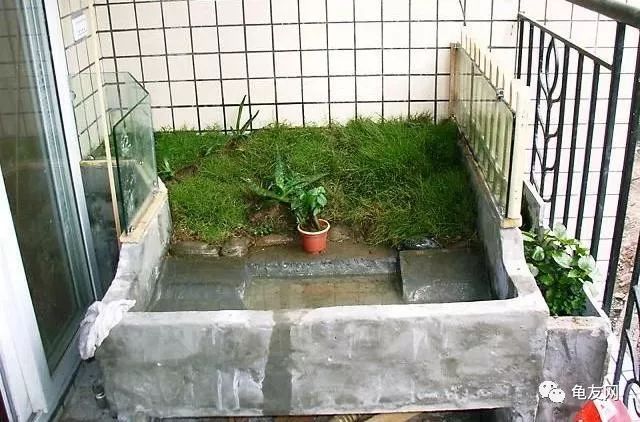 养龟带给您的乐趣,打造一个妙趣横生的单元楼阳台龟池