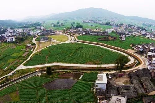 南安市石井鎮揚子山礦區治理後南安市眉山鄉皇旗尖生態有機茶園南安市