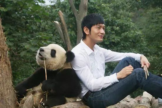 胡歌现身动物园喂熊猫,身为国宝,滚滚的明星粉丝简直不要太多