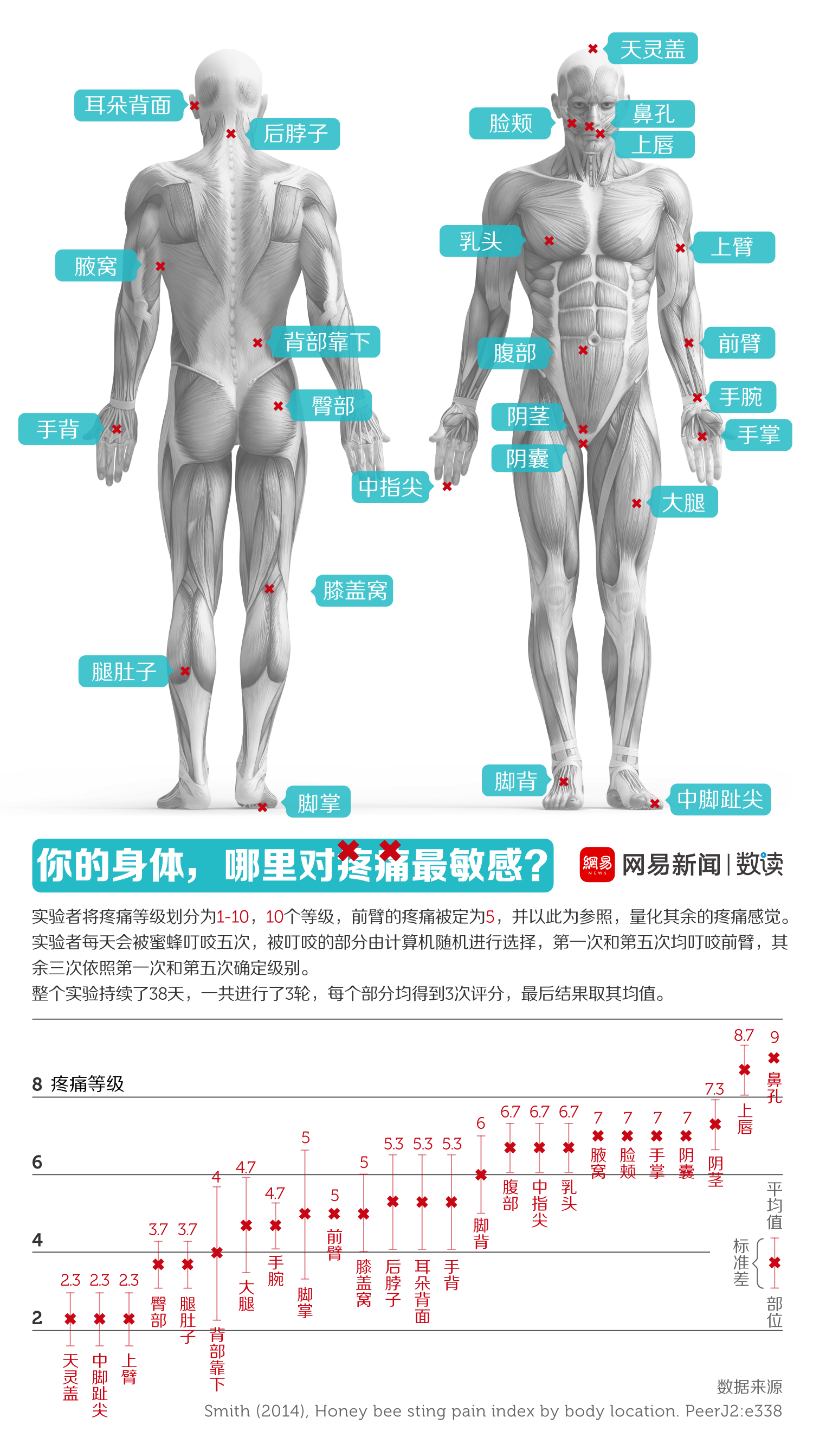 世界最疼的实验每天被蜜蜂叮5次确定疼痛等级