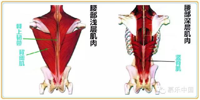 是腰痛的常見原因之一,主要症狀是腰或腰骶部脹痛,痠痛,反覆發作,疼痛