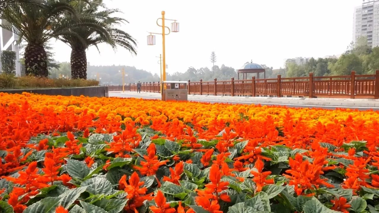 怀化五溪文化广场图片图片