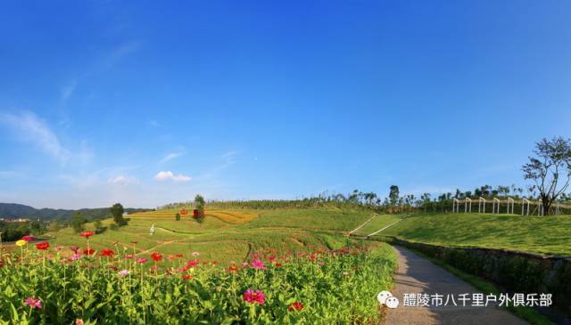 10月28號 中國最美彩色村—新餘彩色村 亞熱帶植物園夢幻之旅 一日遊