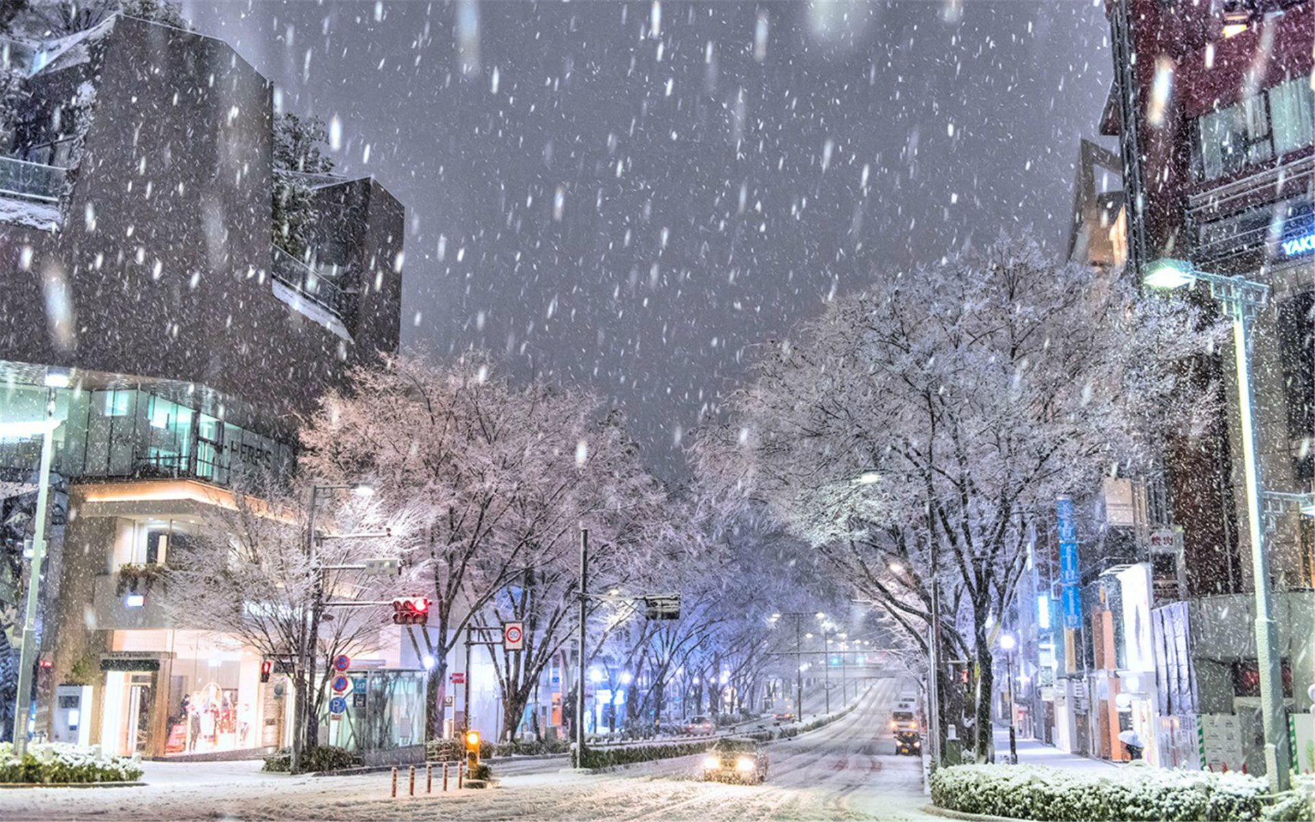 城市下雪天图片大全图片