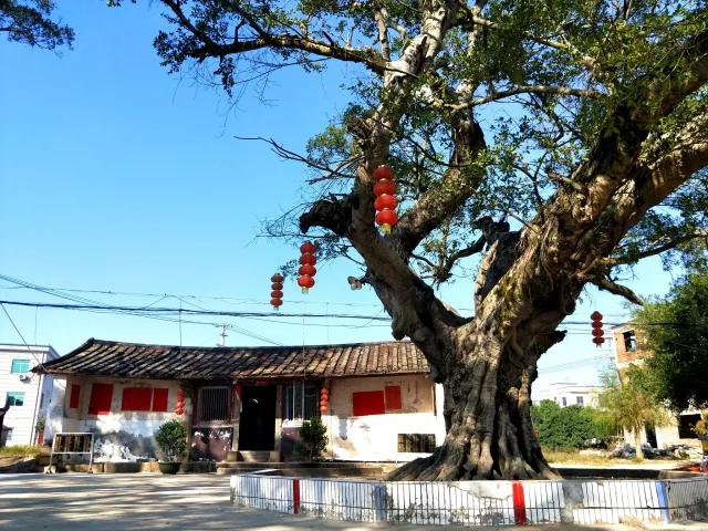 漳浦县绥安图片