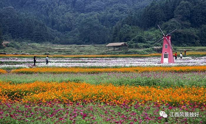 七彩畫卷良山鎮下保村128路 6:00起發車到鳳凰溝 返程鳳凰溝最晚時間