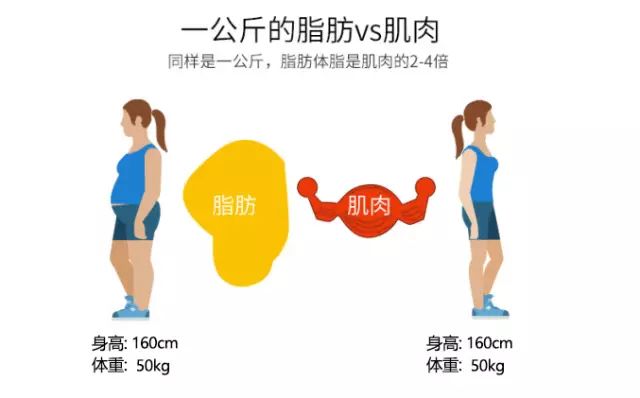 同样体重不同身材图片