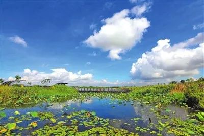 橫琴芒洲溼地公園在成績面前,珠海既有生態文明