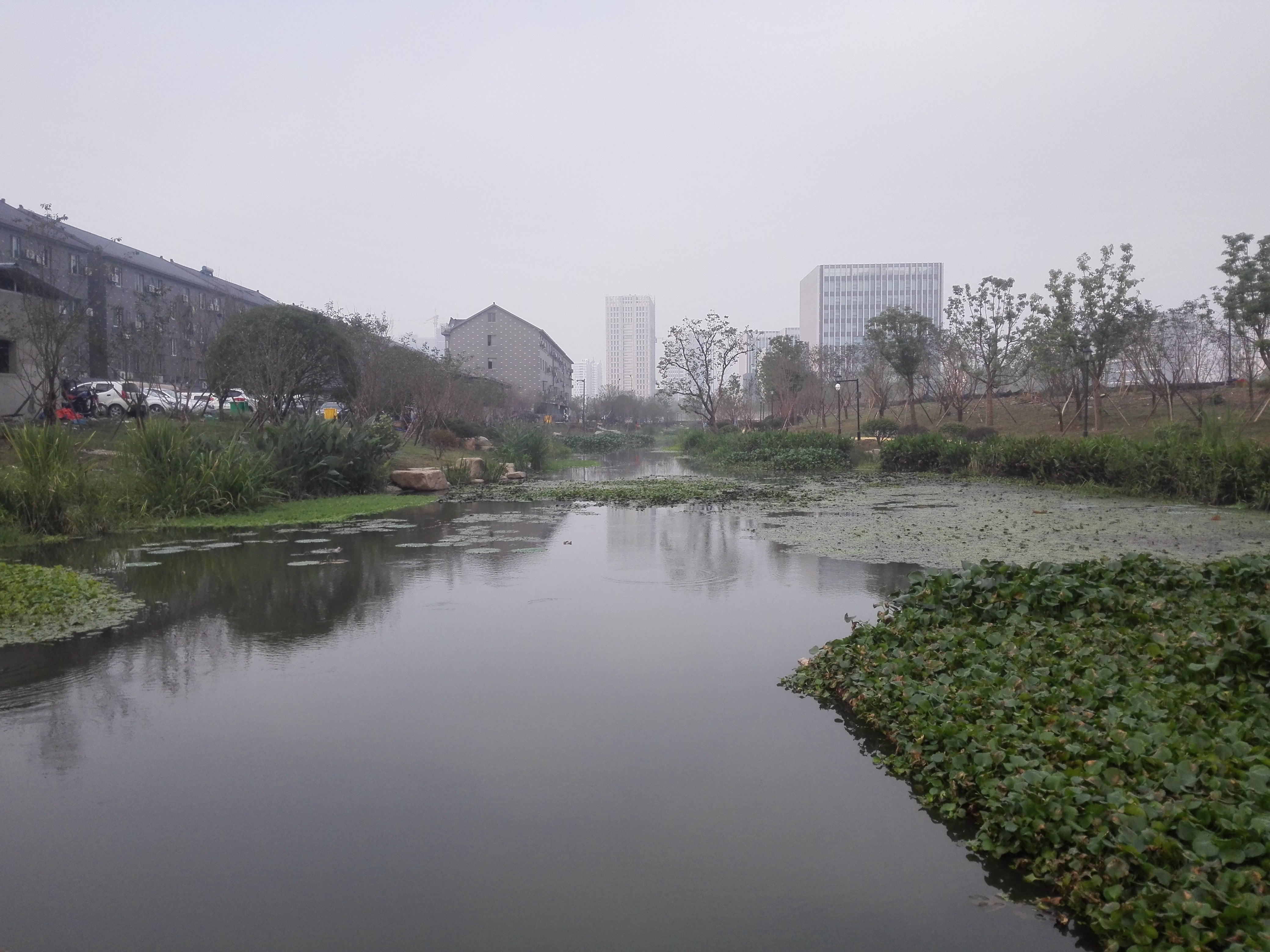 东莞新东泰臭水沟图片