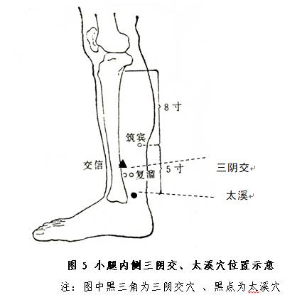 膝盖内侧学位图图片