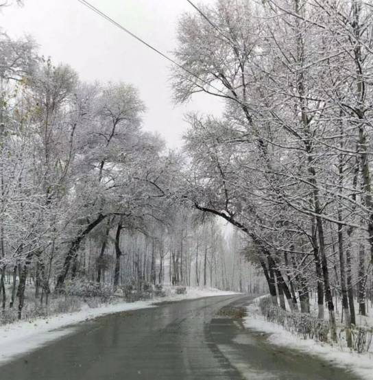 咱们大喀喇沁下雪了,雪后美景全在这儿!本周还有一场雪.